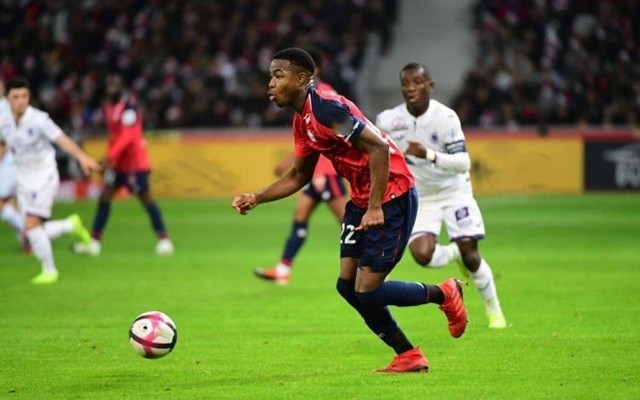 成为重点关 成为重点关