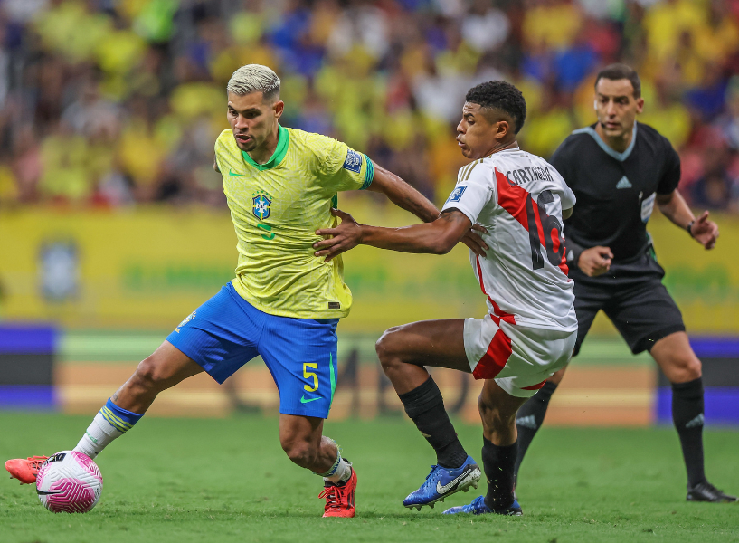 凡晨组合 凡晨组合