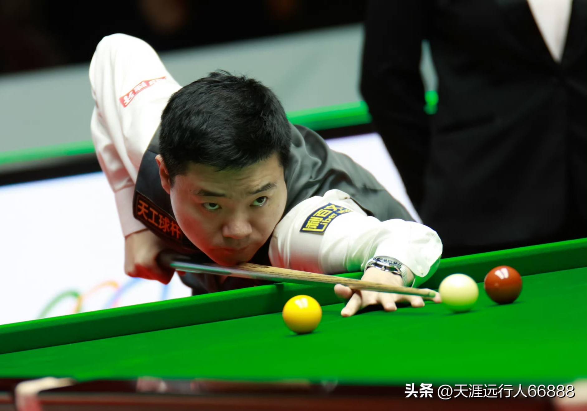 的超高人气 的超高人气