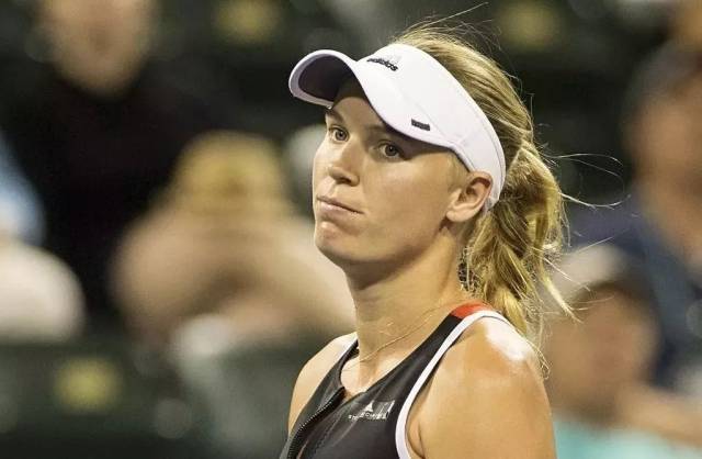 麦迪逊与孙 麦迪逊与孙